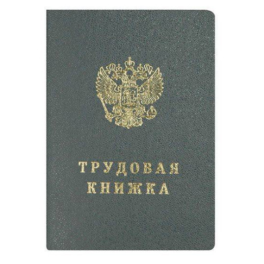 ТРУДОВАЯ КНИЖКА Купить оптом и врозницу ТРУДОВАЯ КНИЖКА в интернет магазине в СПб