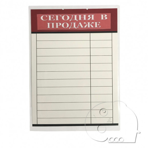 Ценники настенные 12/14 наим "Сегодня в продаже" Купить оптом и врозницу Ценники настенные 12/14 наим "Сегодня в продаже" в интернет магазине в СПб